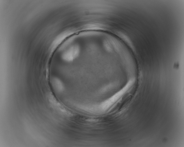 X0000111901419200908171227