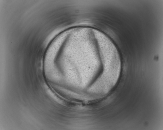 X0000111901420200908171227