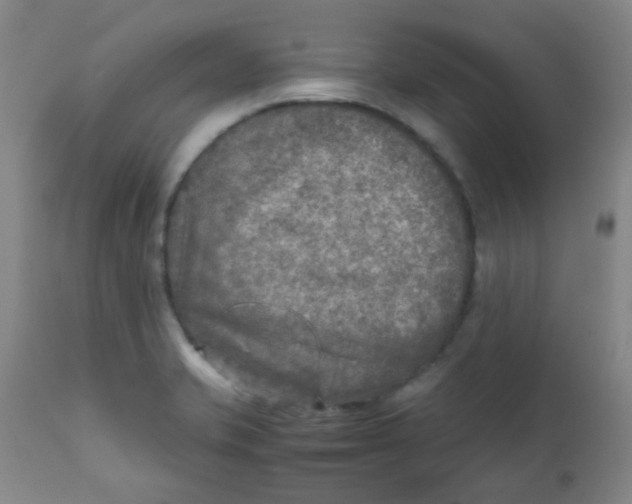 X0000111901421200908171227