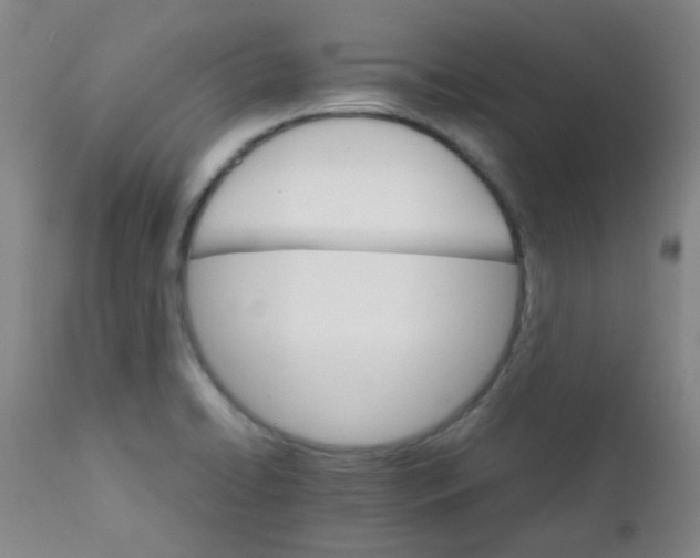 X0000111901422200908171227