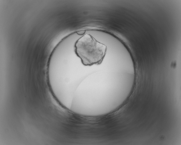 X0000111901423200908171227