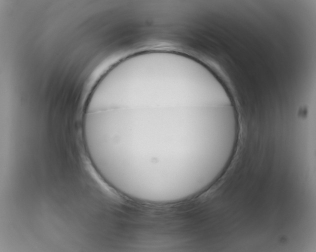 X0000111901424200908171227