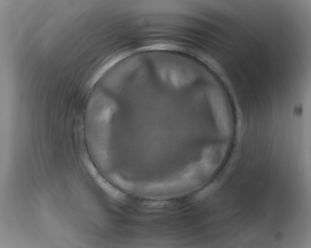 X0000111901425200908171227