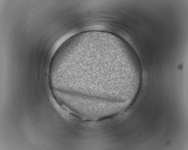 X0000111901426200908171227