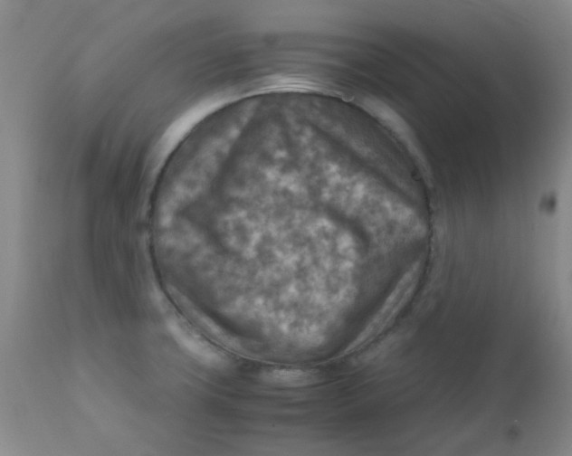 X0000111901427200908171227