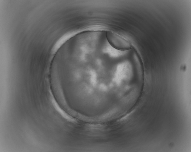 X0000111901429200908171228