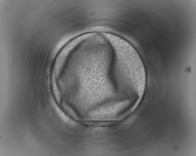 X0000111901430200908171228