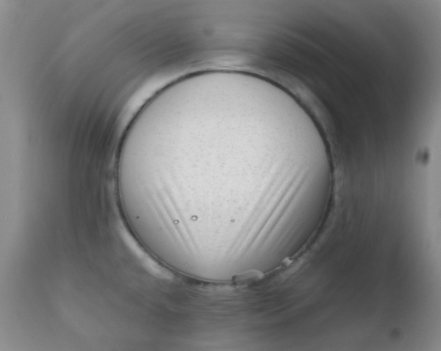 X0000111901432200908171228