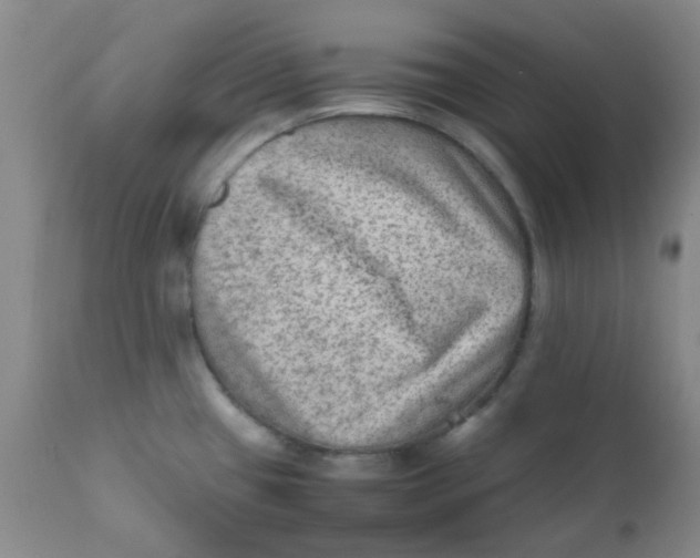 X0000111901433200908171228