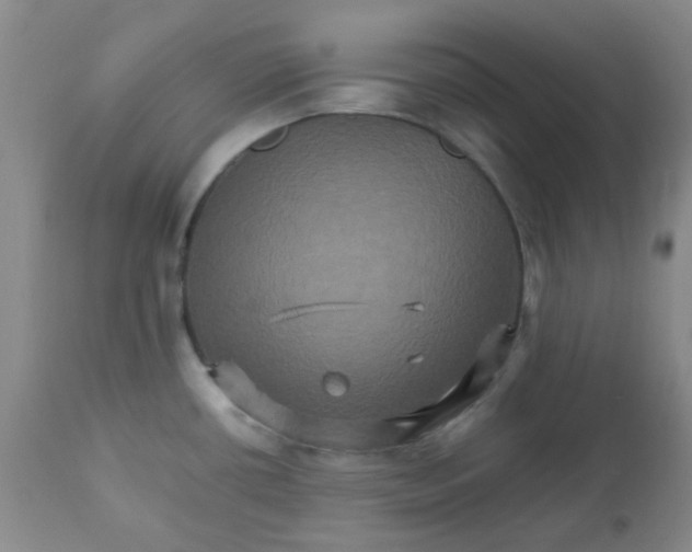 X0000111901434200908171228