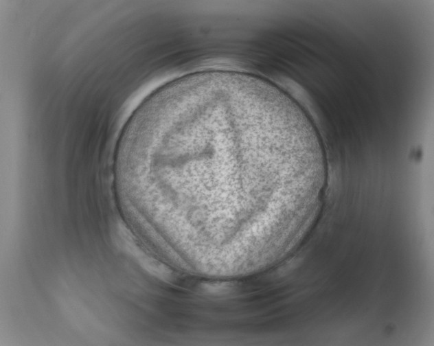 X0000111901435200908171228