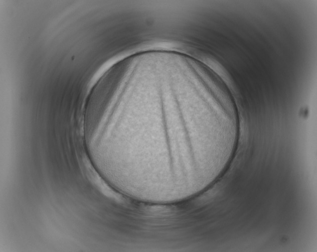 X0000111901436200908171228