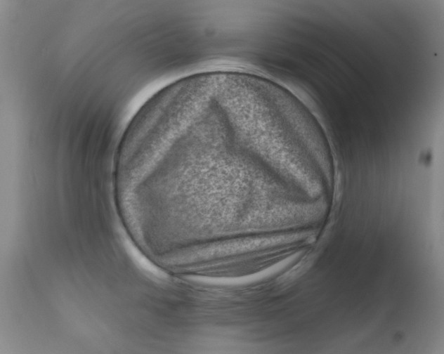 X0000111901438200908171228