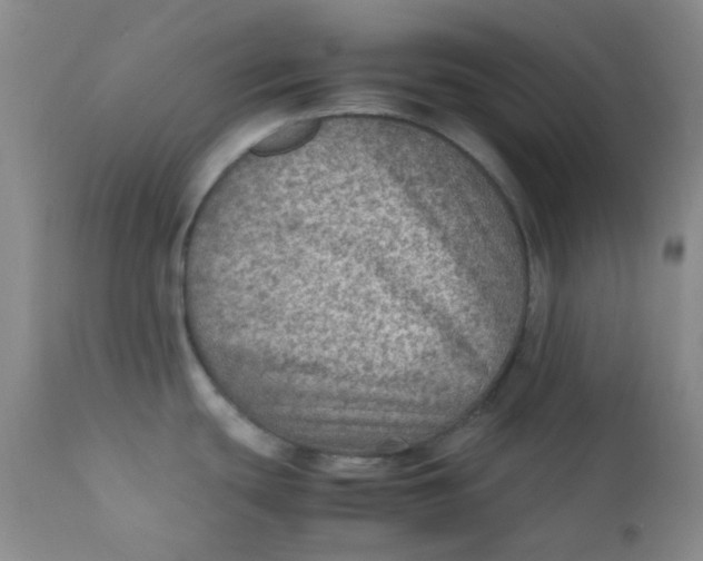 X0000111901439200908171228