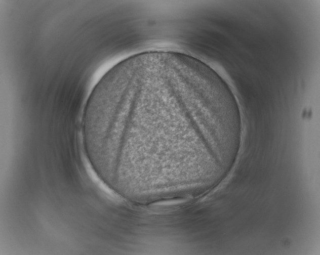 X0000111901440200908171228