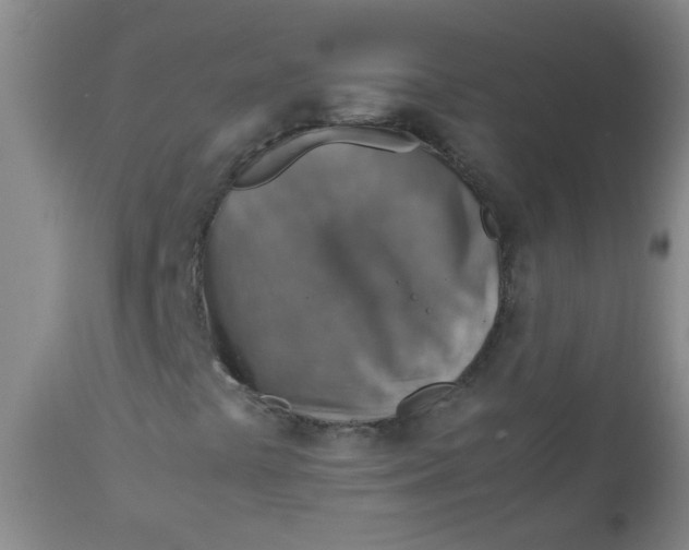 X0000111901441200908171227