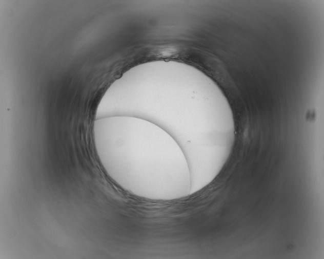 X0000111901442200908171227