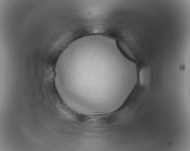 X0000111901443200908171227