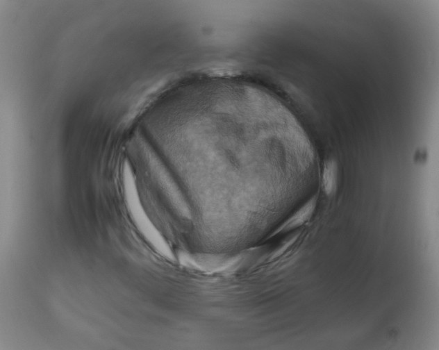 X0000111901444200908171227