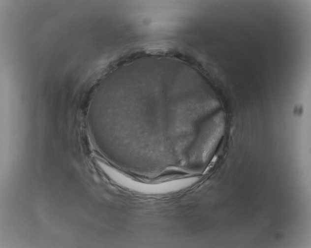 X0000111901445200908171227