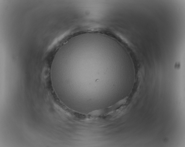 X0000111901447200908171227