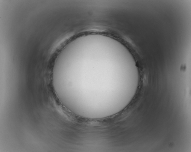 X0000111901448200908171227