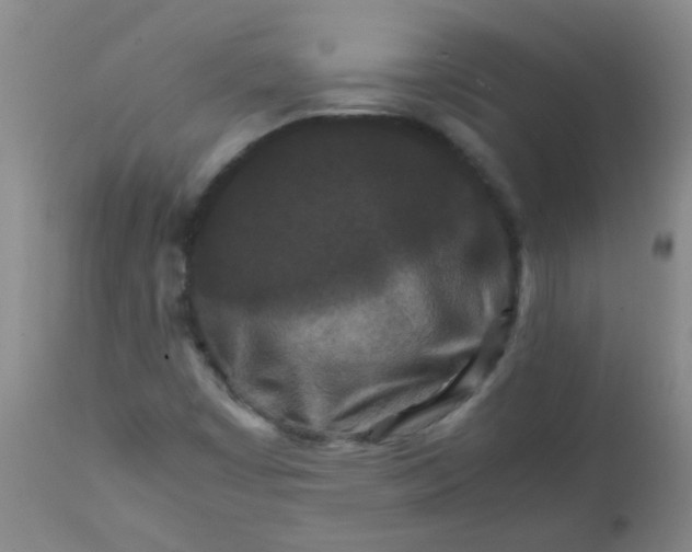 X0000111901449200908171227