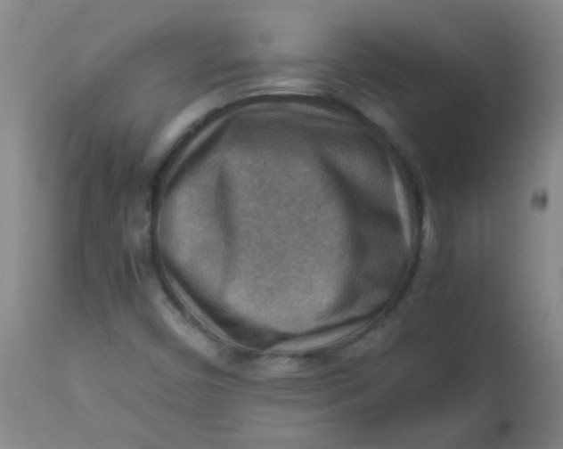 X0000111901450200908171227