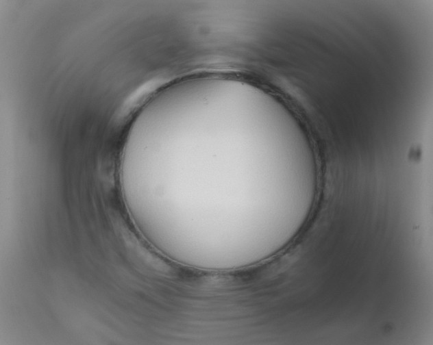 X0000111901451200908171227