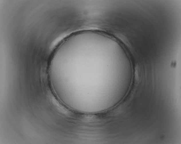 X0000111901452200908171227