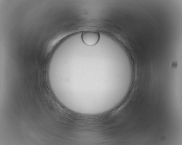 X0000111901453200908171227