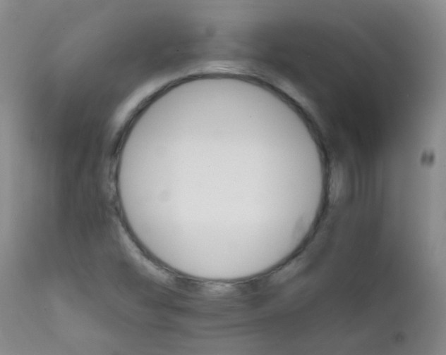 X0000111901454200908171227