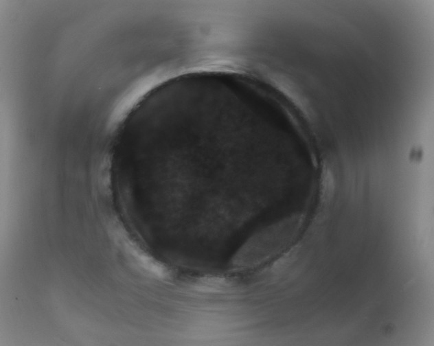 X0000111901455200908171227