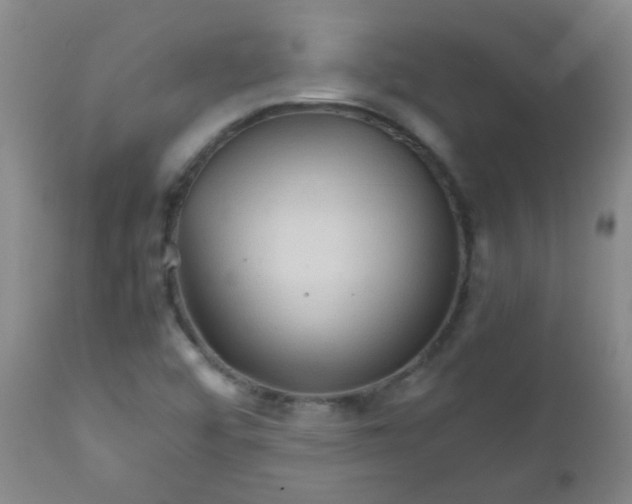 X0000111901456200908171227