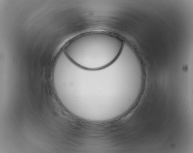 X0000111901457200908171227