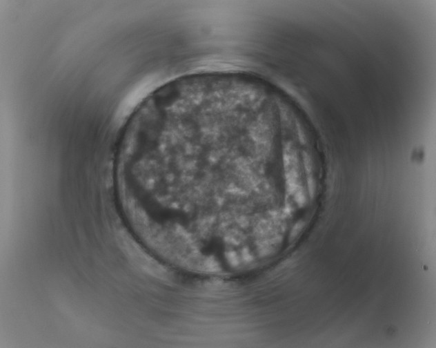 X0000111901459200908171227