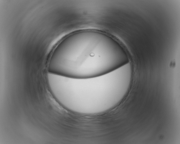 X0000111901460200908171227