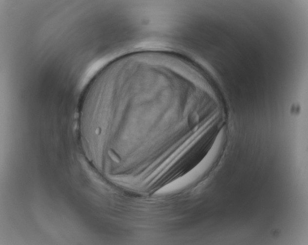 X0000111901461200908171227