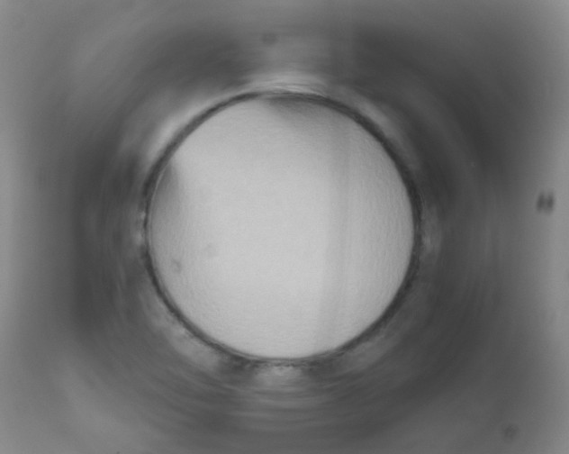 X0000111901462200908171227