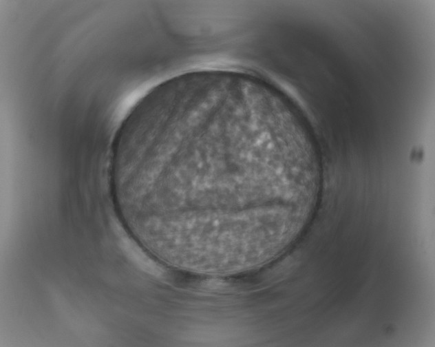 X0000111901463200908171227