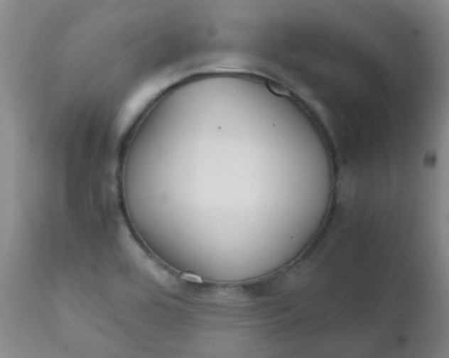 X0000111901464200908171227