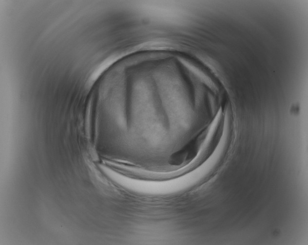 X0000111901465200908171226