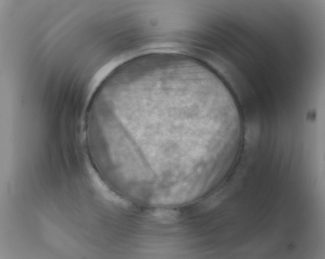 X0000111901466200908171226