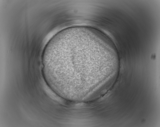 X0000111901467200908171226