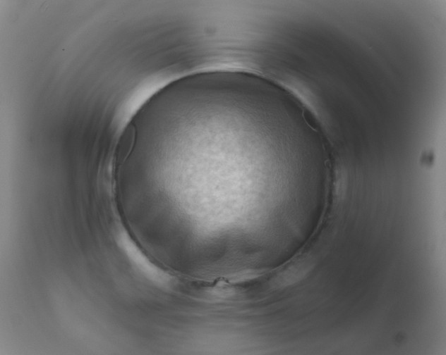 X0000111901468200908171226