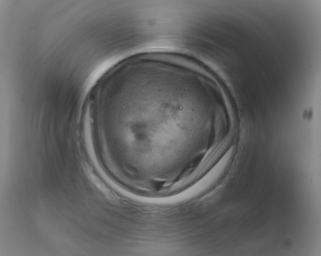 X0000111901469200908171226