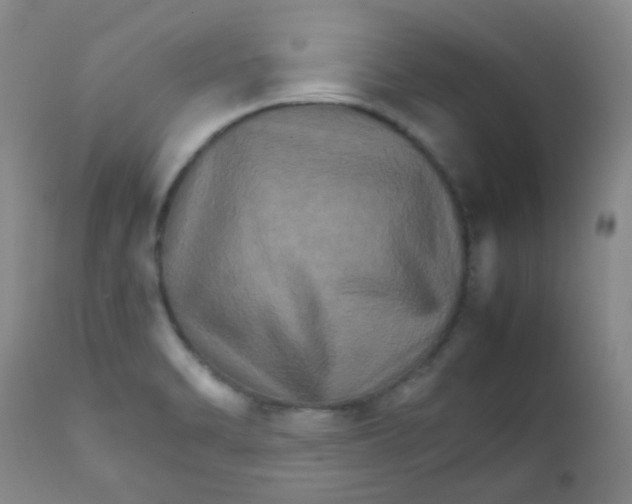 X0000111901470200908171226