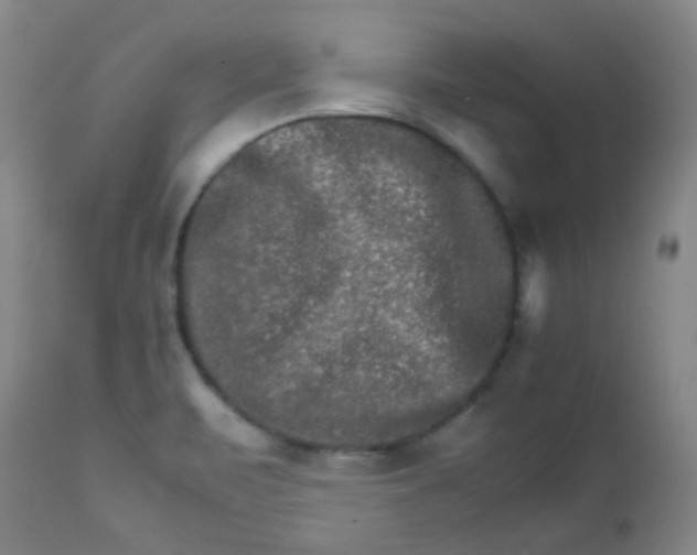 X0000111901471200908171226