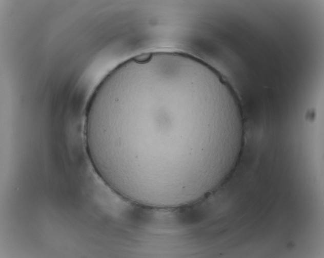 X0000111901472200908171226