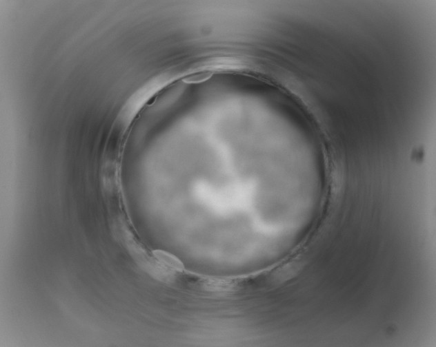 X0000111901473200908171226